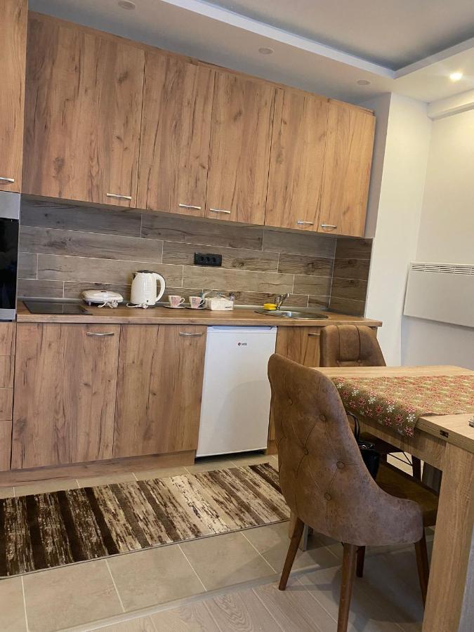 Milmari Apartman N92 科帕奥尼克 外观 照片